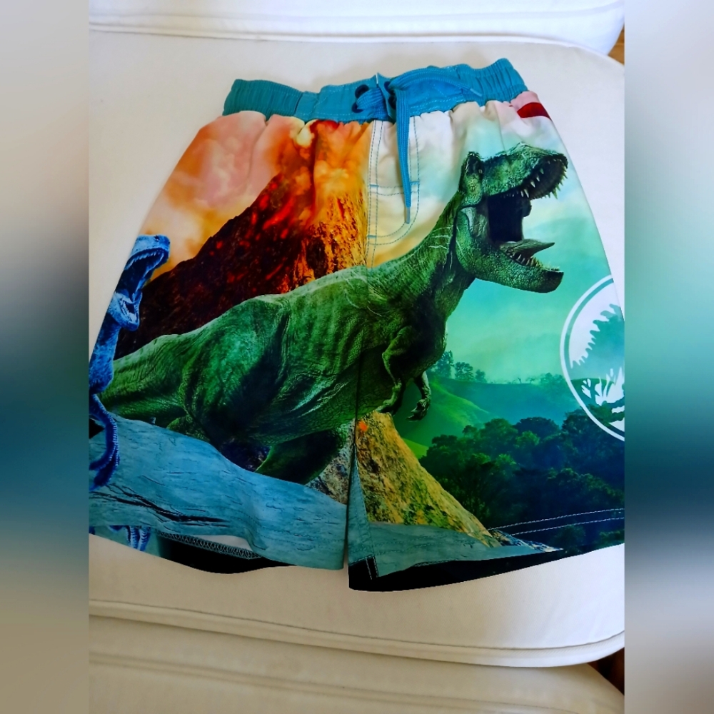 Boy's swim trunks